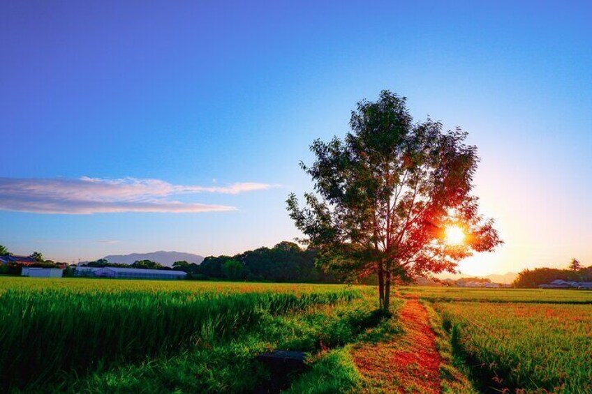 The Japanese countryside view, Nara