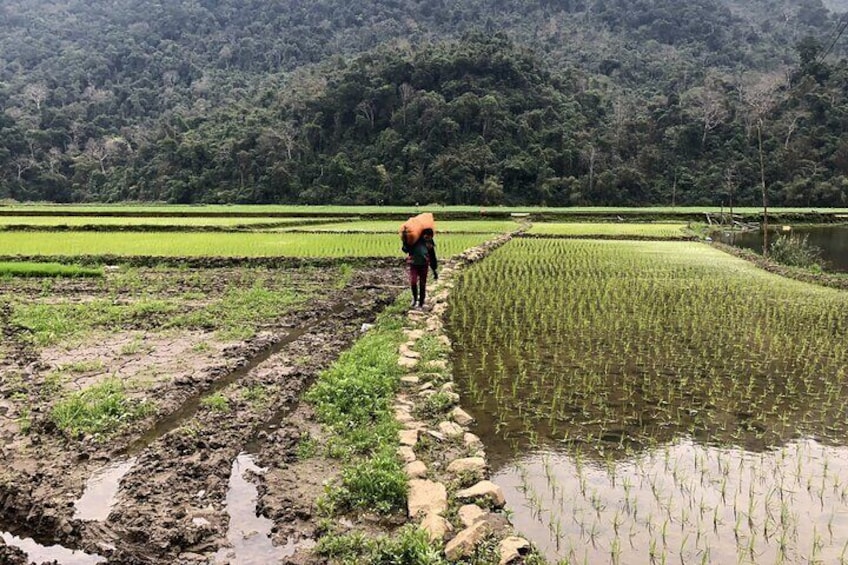 Trekking In Northern Of Vietnam 9 Days 8 Nights