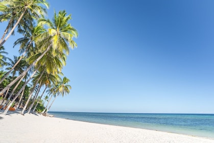 Private Day Tour -  Anda Beach Bohol