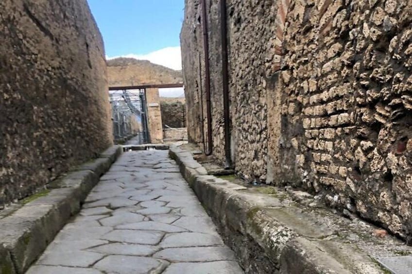 Guided Tour to Pompei and Herculaneum: Skip-the-line Tickets 