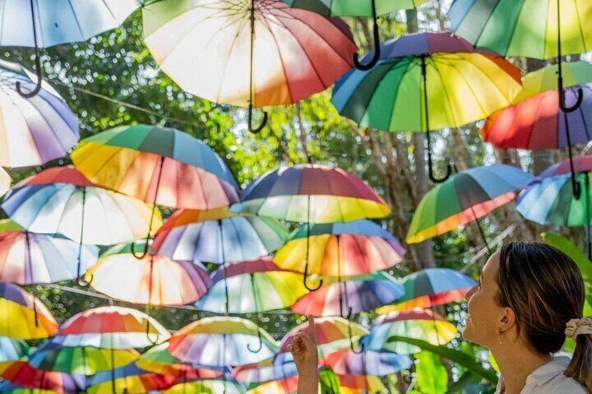 The Rainbrella Project - 1000 Hanging Umbrellas in our rainforest 