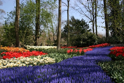 Vanuit Amsterdam: Hele dag Keukenhof en Haarlem met gids