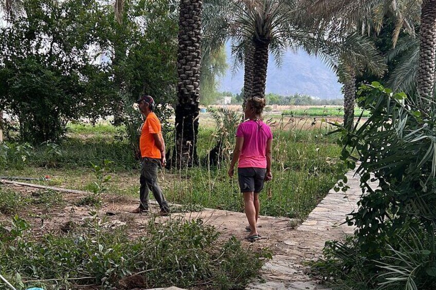 Half-Day Private Bike Tour in Oman with Lunch