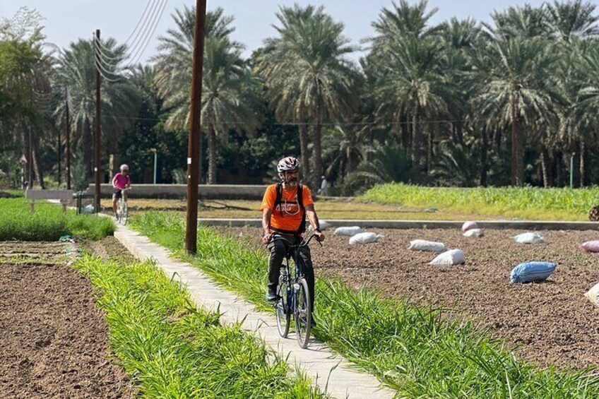 Half-Day Private Bike Tour in Oman with Lunch