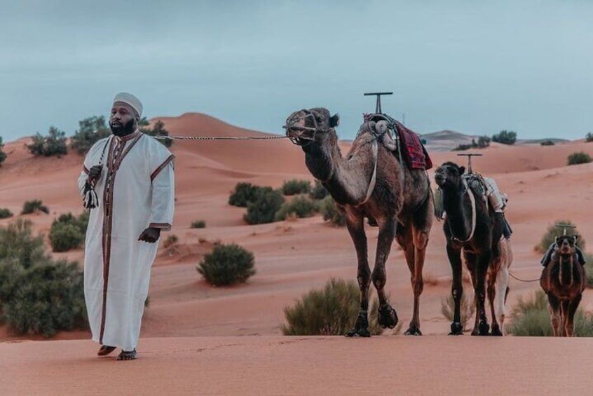 2 Nights in luxury camp & Camel Trekking in Merzouga Desert