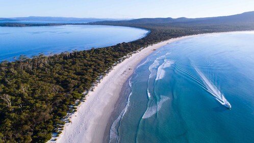 Triabunna : Excursion d'une journée en bateau sur l'île Maria et l'île des ...