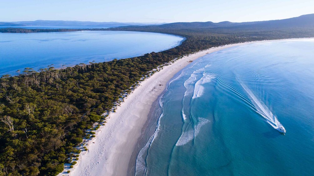 Triabunna: Maria Island and Ile Des Phoques Day Trip by Boat