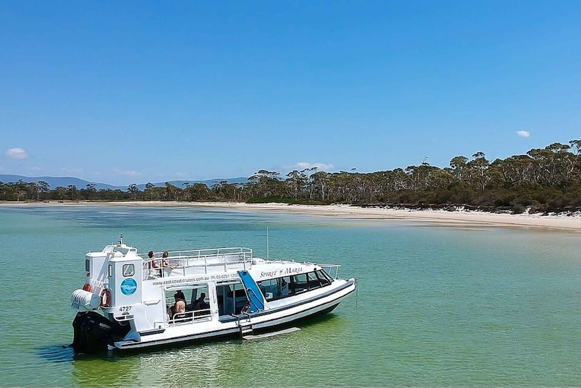 Picture 2 for Activity Triabunna: Maria Island and Ile Des Phoques Day Trip by Boat
