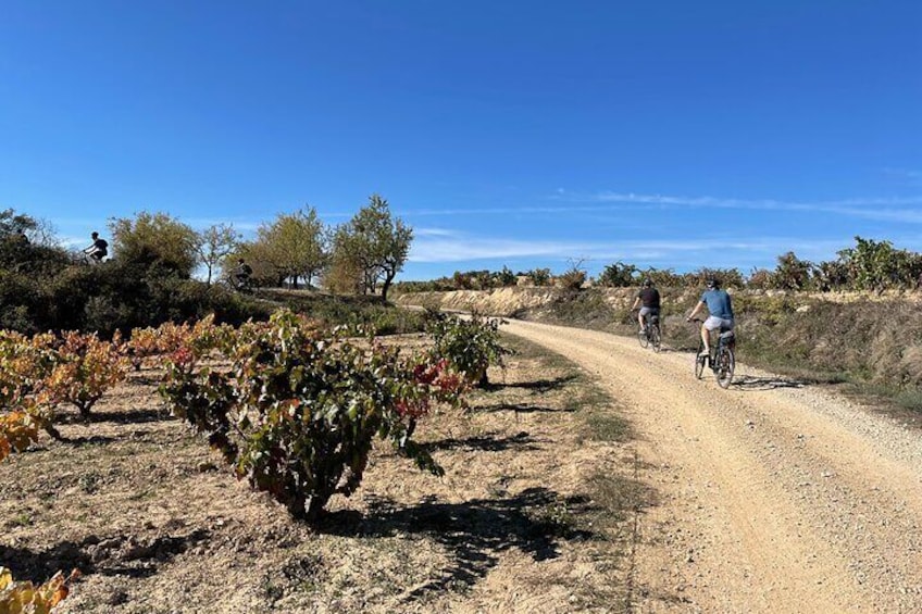 Rioja on Wheels - Discovering the Rioja Region with eBikes (from Bilbao & Rioja)