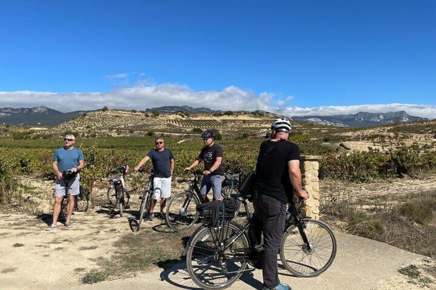 Rioja on Wheels - Discovering the Rioja Region with eBikes (from Bilbao & Rioja)