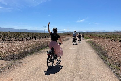 Rioja on Wheels - Discovering the Rioja Region with eBikes (from Bilbao & R...