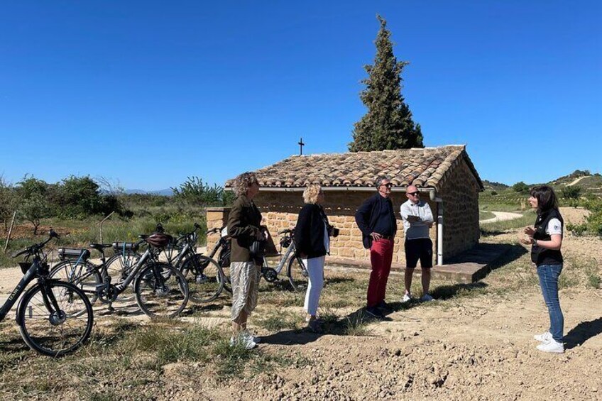 Rioja on Wheels - Discovering the Rioja Region with eBikes (from Bilbao & Rioja)