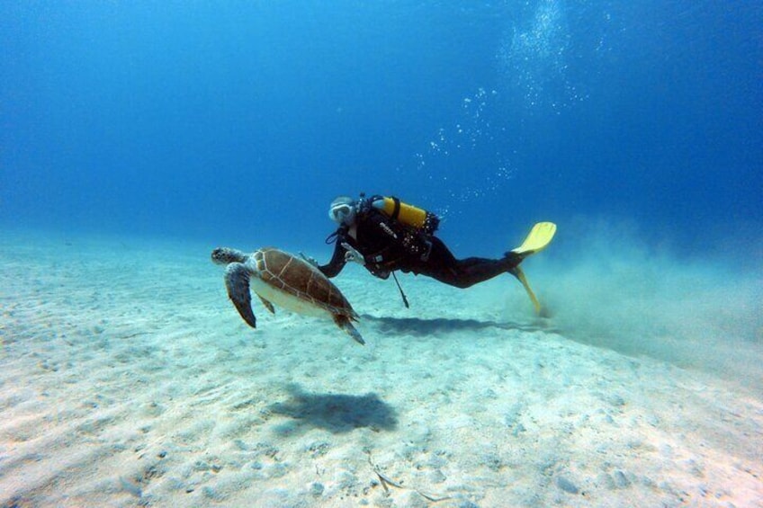 Green Bay dive site