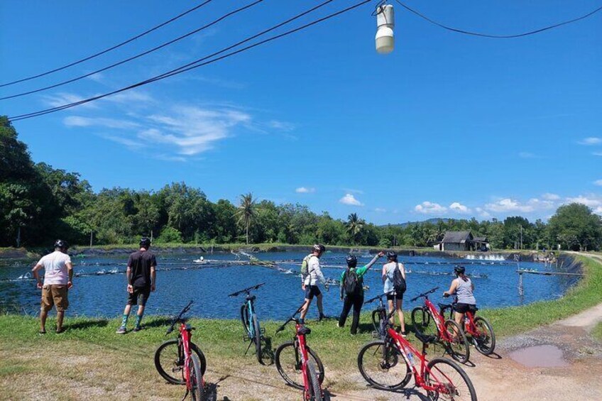 Half-Day Countryside Cycling Small-group Tour in Phuket