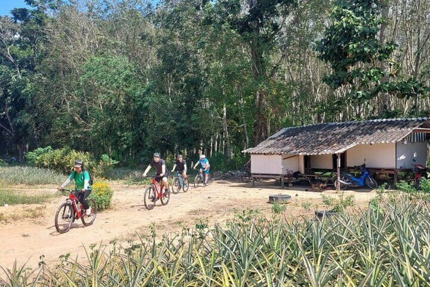 Half-Day Countryside Cycling Small-group Tour in Phuket