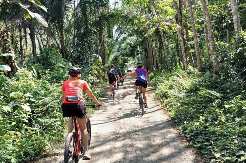 Half-Day Countryside Cycling Small-group Tour in Phuket