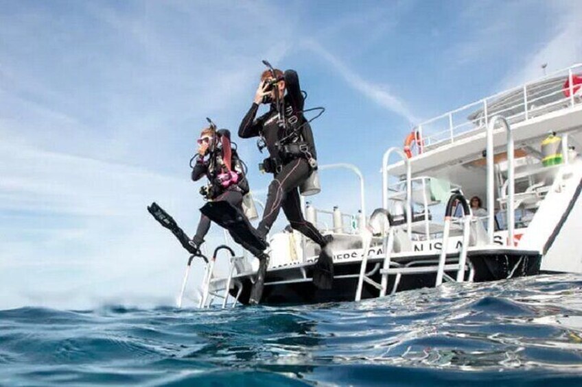 Diving & Snorkeling Day to White Island & Ras Mohamed By VIP Boat