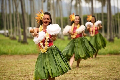 Boleto de entrada a Luau Ka Hikina con cena y saludo Lei