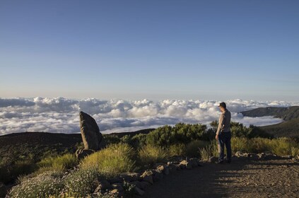 Half-day Guided Tour to Teide National Park
