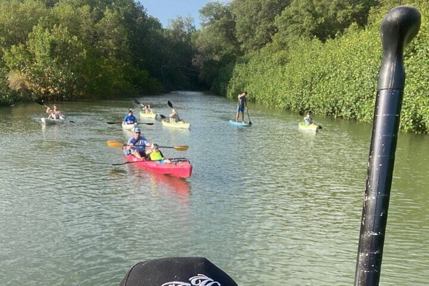 Kayaking and Stand-up Paddle Boarding in Costa Rica