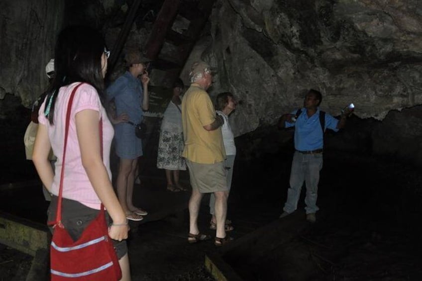 Half-Day Mangrove Safari Boat Tour in Langkawi