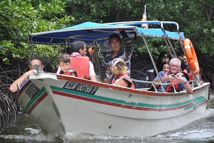 Full-Day Mangrove Safari Boat Tour in Langkawi