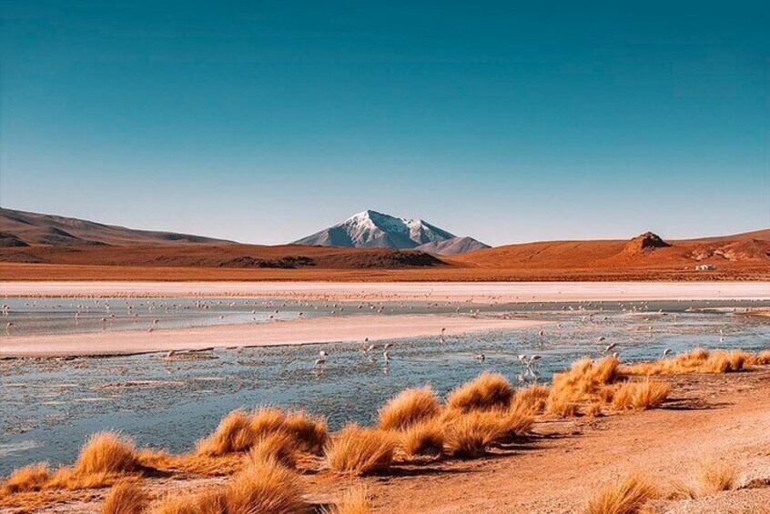 3-Day Private Tour of Uyuni Salt Flats and Colored Lagoons from Uyuni