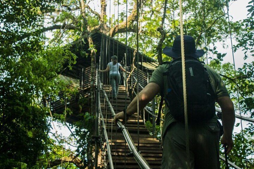 Sensoria: Rainforest Land of Senses Walking and Thermals Tour
