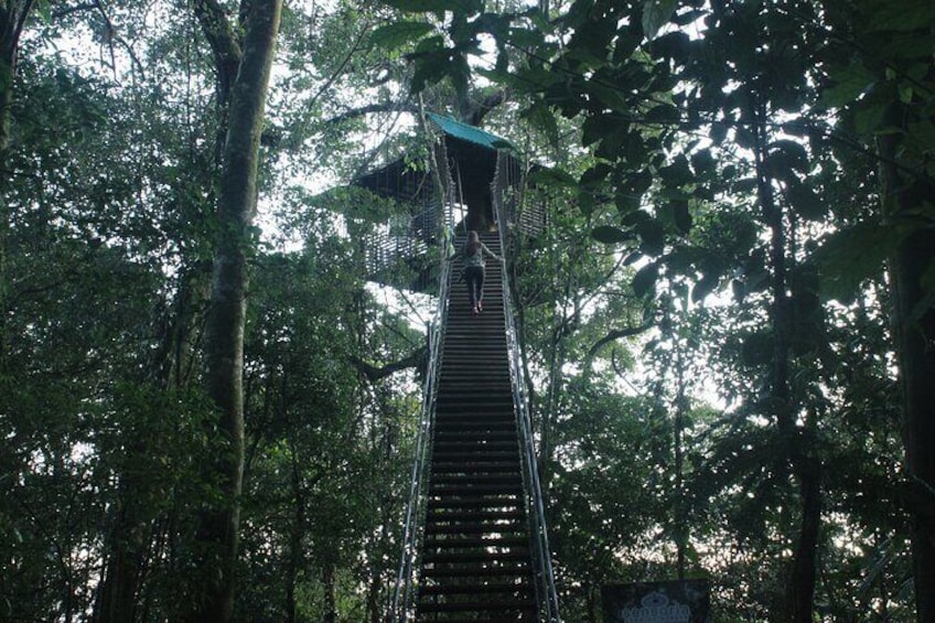 Rainforest Land of Senses Tour