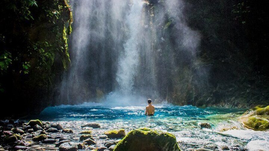 Rainforest Land of Senses Walking and Thermals Tour