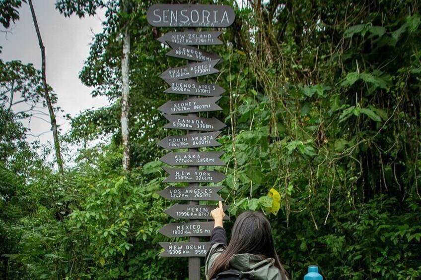 Rainforest Land of Senses Tour