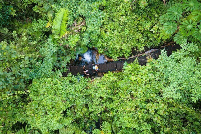 Sensoria: Rainforest Land of Senses Walking and Thermals Tour
