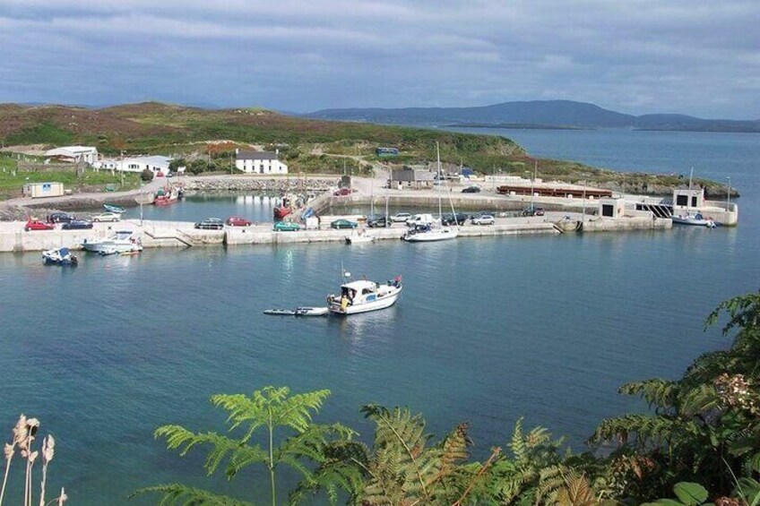 Fastnet Rock Lighthouse & Cape Clear Island Tour From Schull West Cork