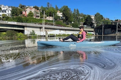 Guided Kayak Tour on Launceston's scenic waterfront on foot powered Hobie k...