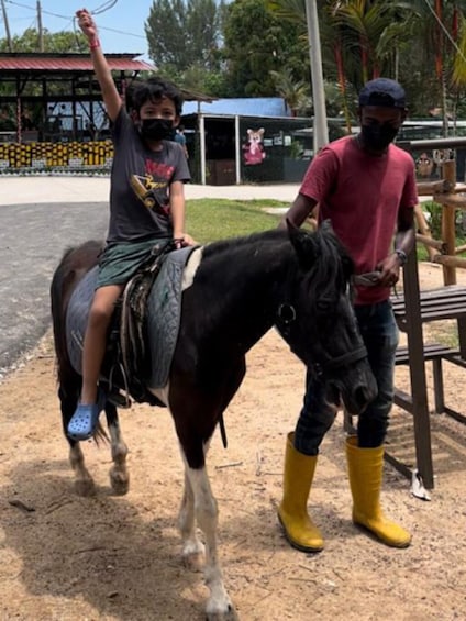 PD Ostrich Show Farm