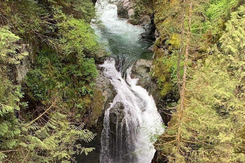 Vancouver Rainforest Hike with Waterfalls, Suspension Bridge, Old Growth Forest