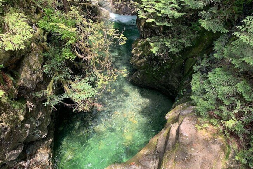 Vancouver Rainforest Hike with Waterfalls, Suspension Bridge, Old Growth Forest