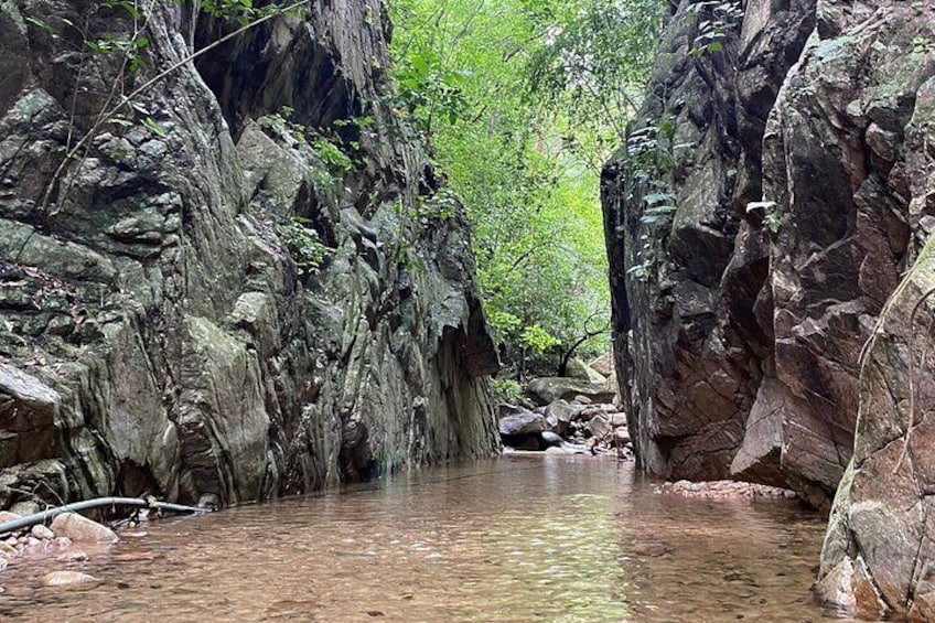 El Nogalito Mountain and Waterfall Half-Day Hiking Tour