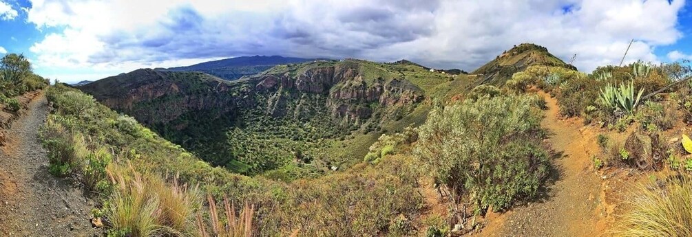 Picture 7 for Activity Las Palmas, Botanical Gardens and Bandama Volcano Tour