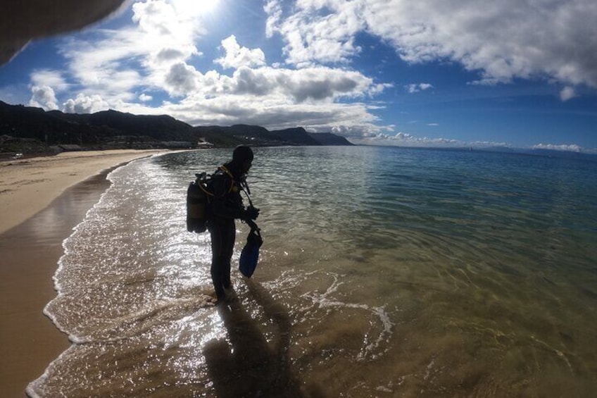 Scuba Diving Experience in Simonstown with an Expert