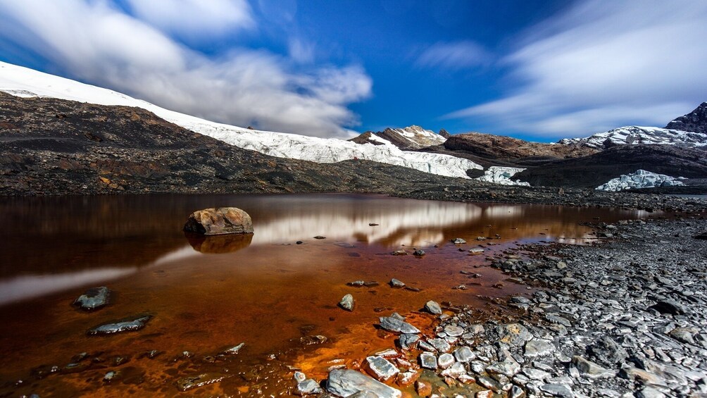 Glacier Pastoruri and Puya Raimondi Full Day Tour