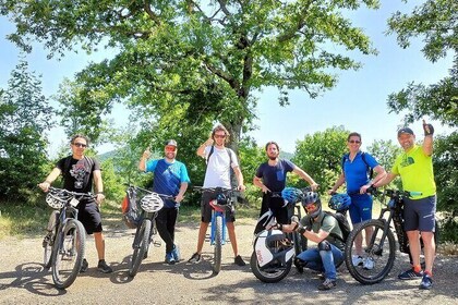 Self-guided e-bike tour with tastings in the oil mill and cellar