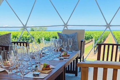 1 Stunde Private Vineyard Dome Experience in Niagara-on-the-Lake