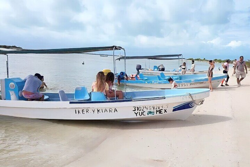 Pinktastic Lagoon Adventure Las Coloradas y Rio Lagartos from Cancun 