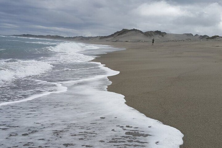 Walk at the dunes beach