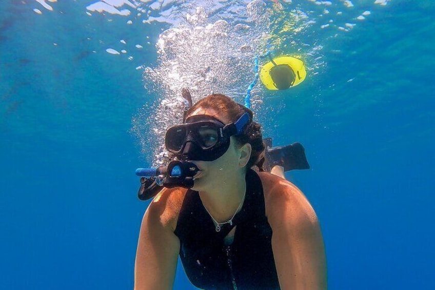 Snorkeling Experience on a NEMO Diving System