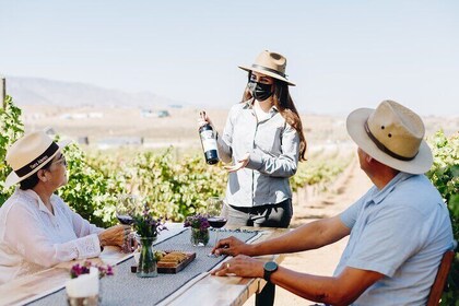 Tasting and tour through the vineyard