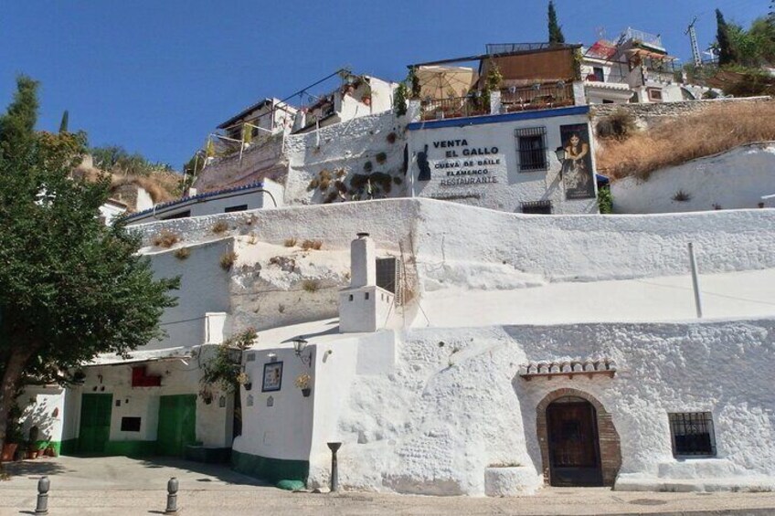 Two-Hour Walking Tour Visiting Albaicín and Sacromonte