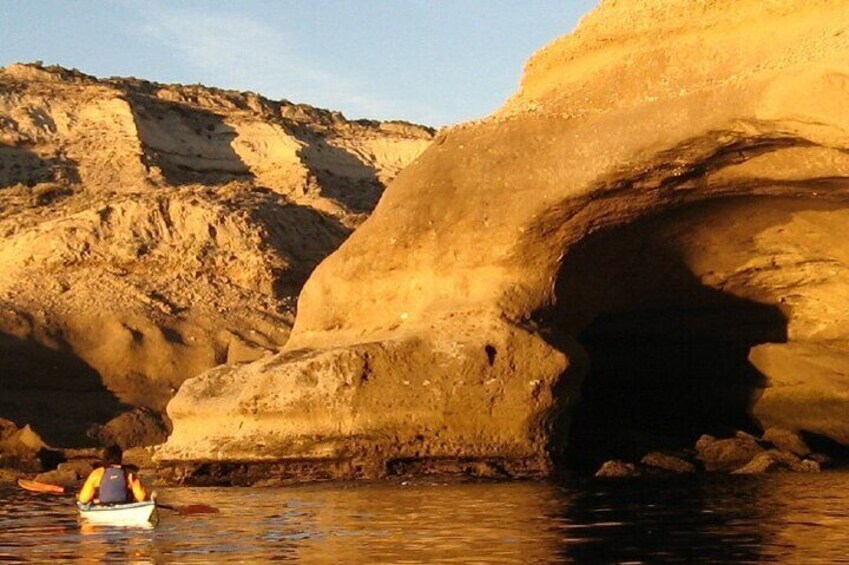 Full Day Peninsula Valdes - optional Whales Watching Navigation 