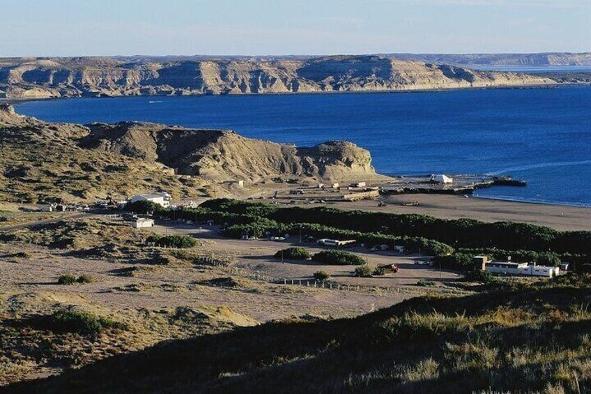 Full Day Peninsula Valdes - optional Whales Watching Navigation 